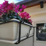 Ciauru Ri Casa Mascalucia